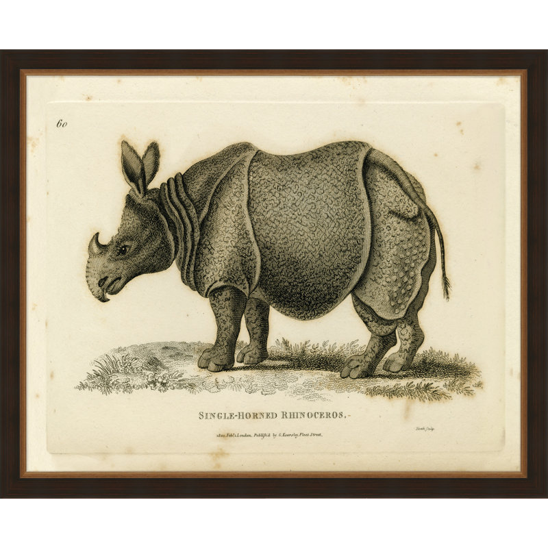 Oversized Antique Rhino Framed Print