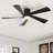 Karlena 52'' Modern Large Dimmable Ceiling Fan with LED Lights and Remote Control-48267737