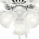 42" Builder 5 - Blade Standard Ceiling Fan with Pull Chain and Light Kit Included