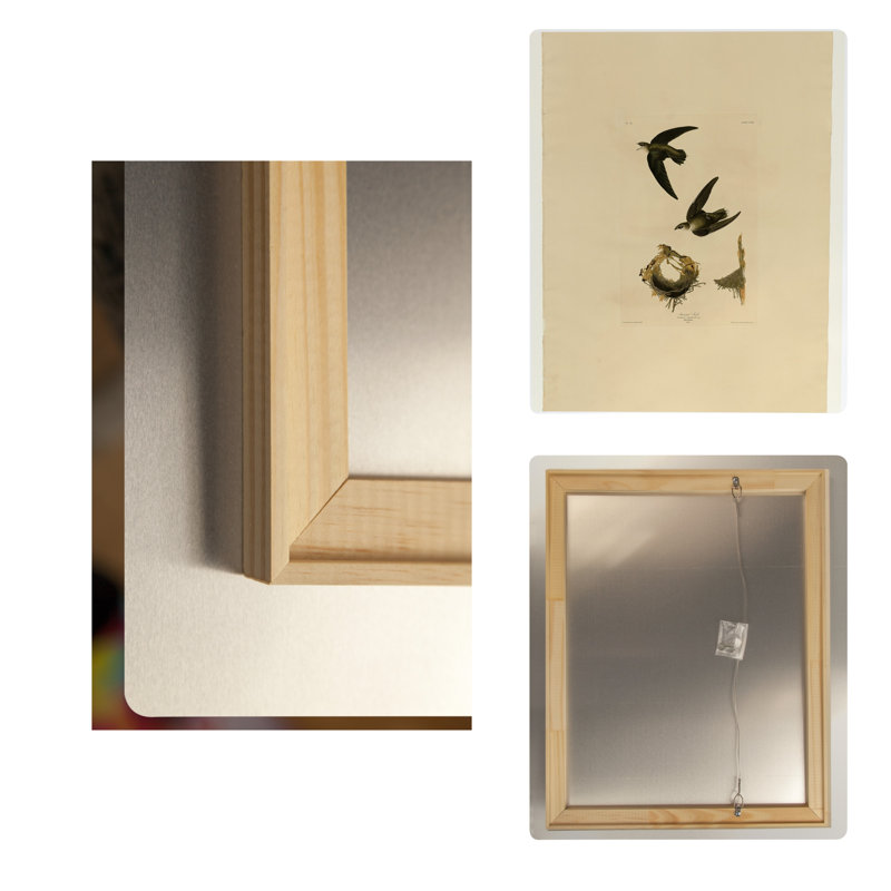 American Swift (Plaque CLVIII) — Portrait en métal, 14" H x 11" W