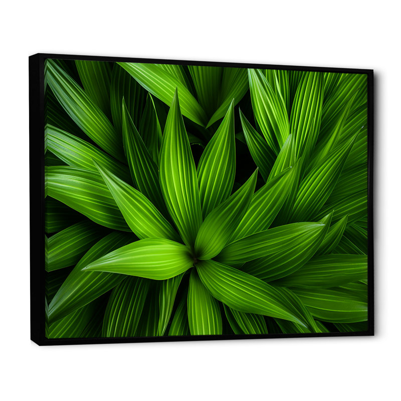 Greenerys Gaze sur impression sur toile, H 12 po x l 20 po x P 1 po, Cadre flottant noir