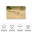 Impression d'un convoi sur toile par "Alnaser"-1742143453