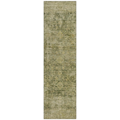 Machine Washable Indoor/Outdoor Xhevrie Green Rug
