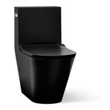 Brazn 1.28 GPF Water Efficient Round One-Piece toilet (Seat Included)