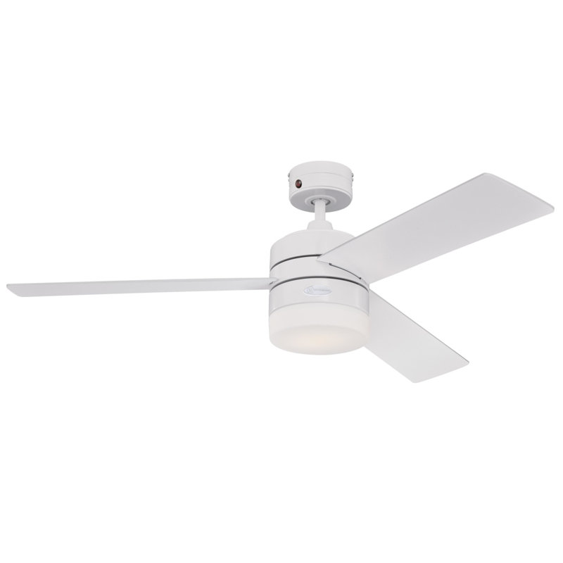 Enosburgh Ceiling Fan with LED Lights