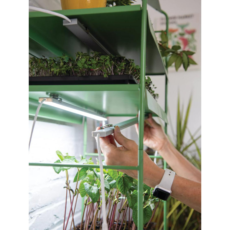 Green Powder Coated Steel 4-Tier LED Grow Light Plant Stand