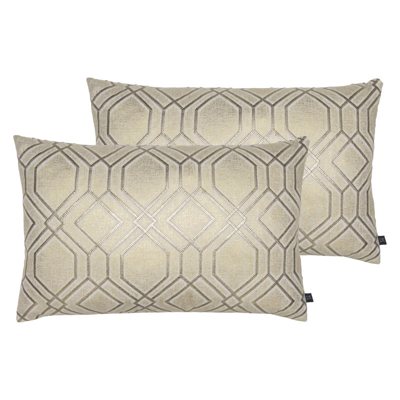 Geometric Rectangular Cushion, Coin, Feather