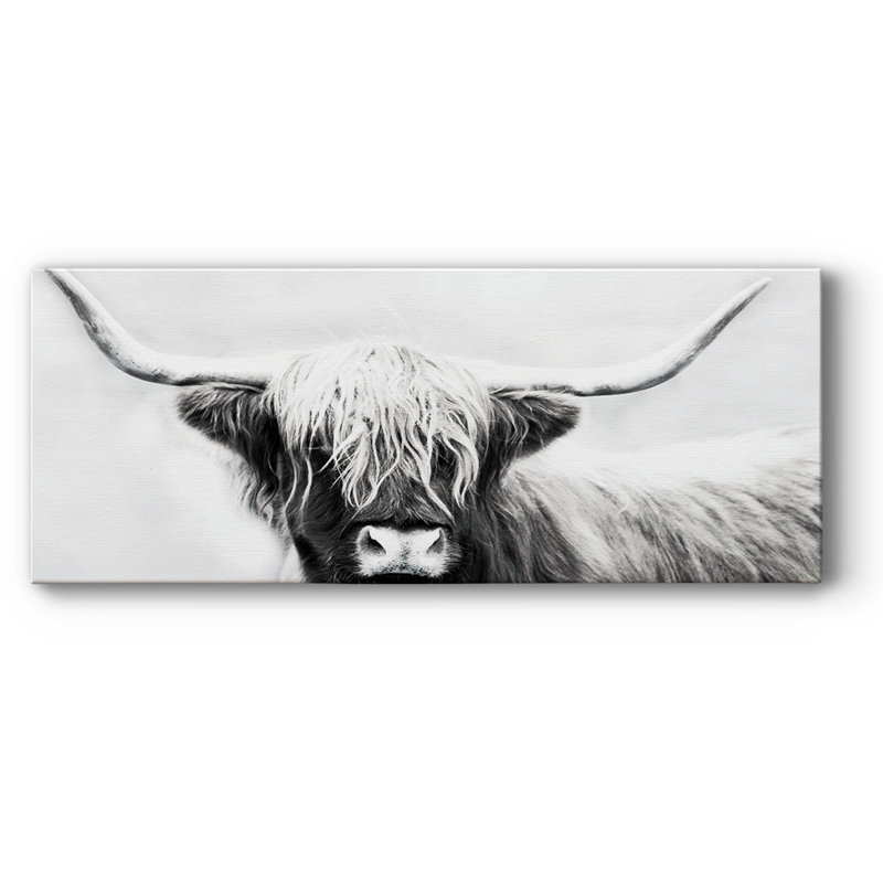 Highland Longhorn sur impression sur toile, H 20 po x l 50 po x P 1,5 po