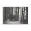 «Secret Tract II» par Michael Willett, reproduction d'art-744799483-744799472-744799476