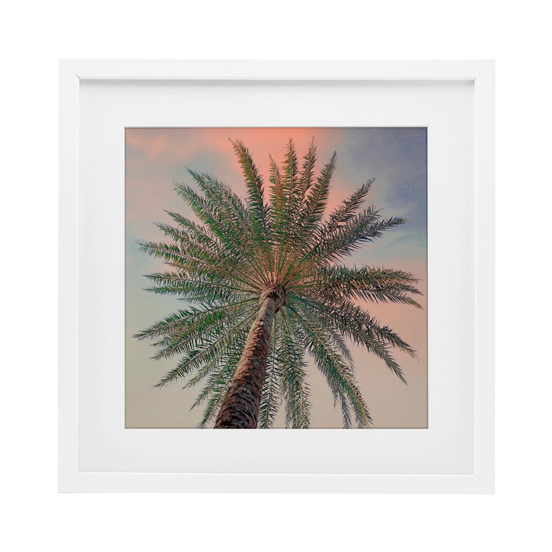 «Palm Up Against Sunset», reproduction sous verre encadrée, conception de Susan Jill, H 16 po x l 16 po, Cadre blanc côtier