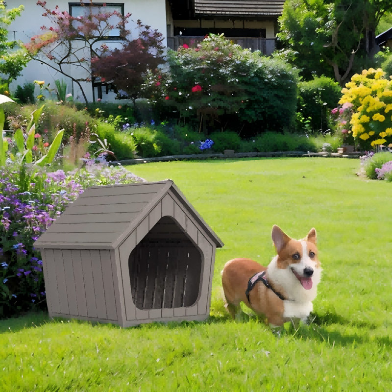 Dog House for Small to Medium Pets, Blue