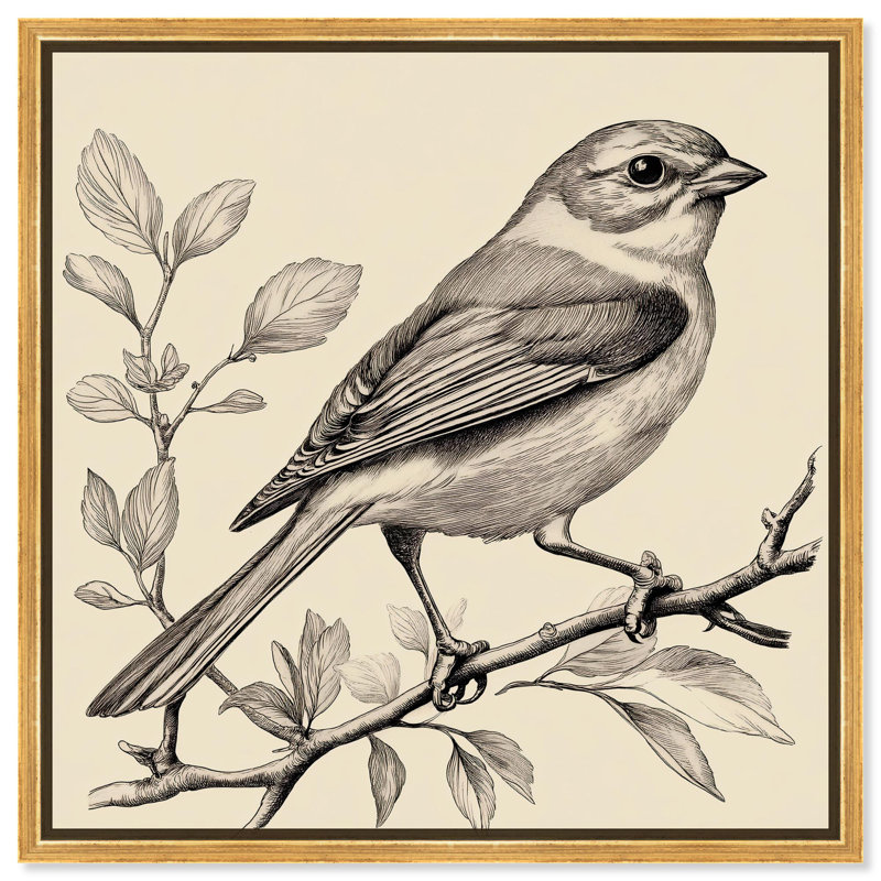 «Bird's Gaze», illustrations rétro sur toile par Art Remedy, H 21 po x l 21 po, Cadre doré
