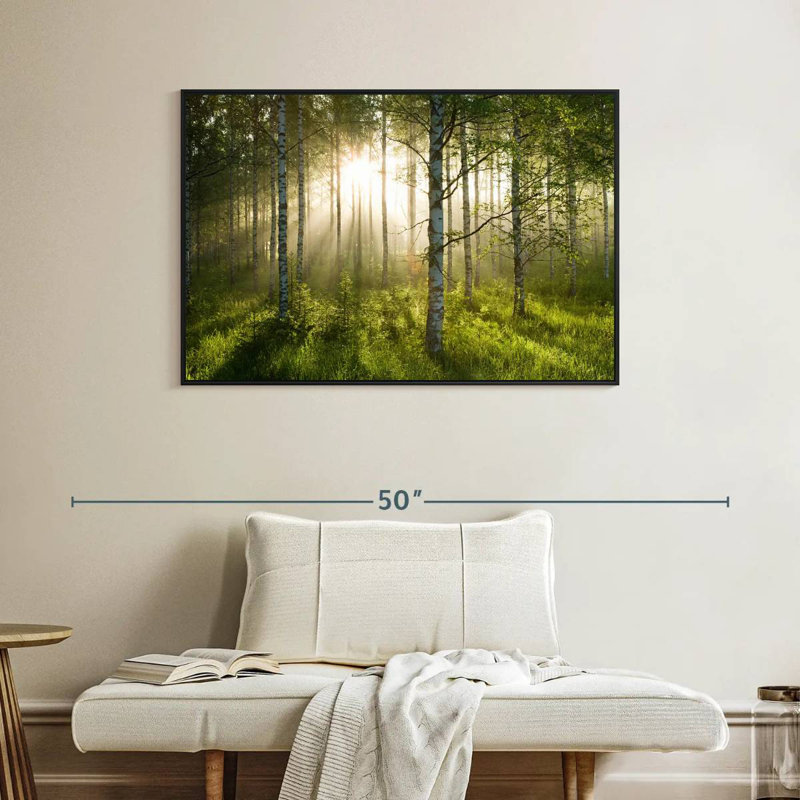 Birch Forest Sunlight, Cadre flottant noir, 40 po x 27 po