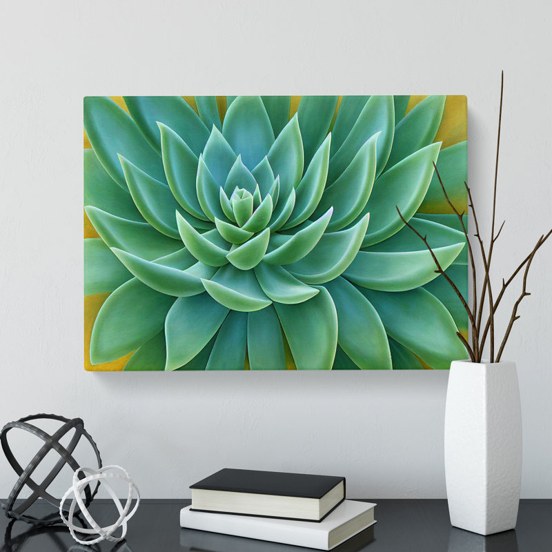 Soulful Succulent Plant - Wrapped Canvas, 35cm H x 50cm W x 3cm D