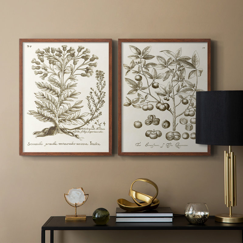 «Sepia Botanical Journal I», reproduction encadrée de qualité supérieure - prête à être accrochée - aucun clou requis - aucun clou requis