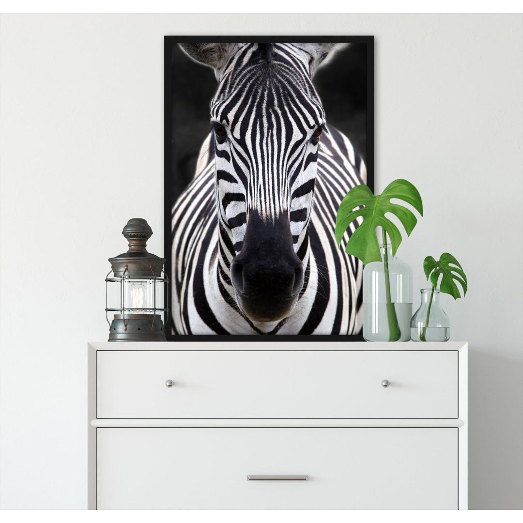 Gerahmtes Poster Zebra Portrait