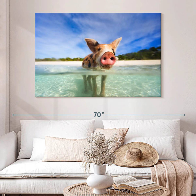 Brampt Cochon à Exuma, Bahamas, H 34 po x l 51 po