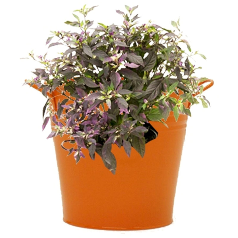 Jayia Metal Pot Planter