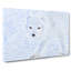 Winter Fox - Wrapped Canvas-56642782