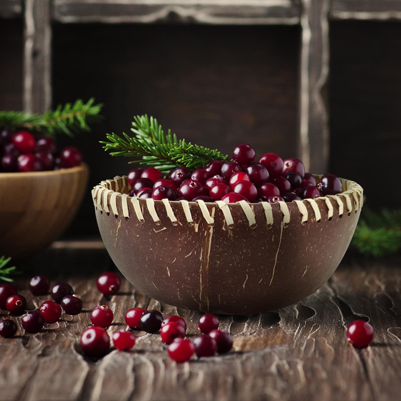 Fibre Coconut Bowl 4-Pack