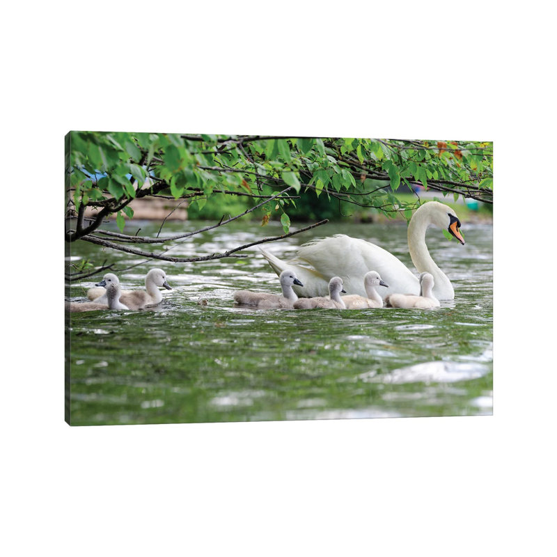 Family Float by David Gardiner - Print on Canvas, Wrapped Canvas, 66.04 cm H x 45.72 cm W x 3.175 cm D