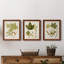 Feuilles antiques IV - ensemble de 3 peintures sur toile encadrées-1306045717-1306045807