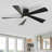 Karlena 52'' Modern Large Dimmable Ceiling Fan with LED Lights and Remote Control-48267737