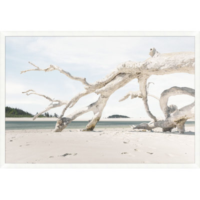 Drift Wood Composition Framed Photographic Print