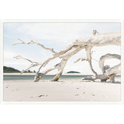 Drift Wood Composition Print