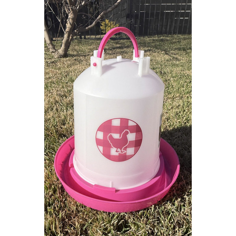 Abreuvoir à poulet 1,5 gallon - Fuchsia, 1,5 gallons, Rose