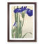 Blue Irises by Ohara Koson - Picture Frame Art Print-55545286-55545289