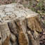 Mendes Solid Wood End Table