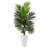 54'' Faux Palm Tree in Ceramic Planter-69568284