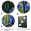 Impression d'iris bleu et jaune sur toile-1985511253-1985511250