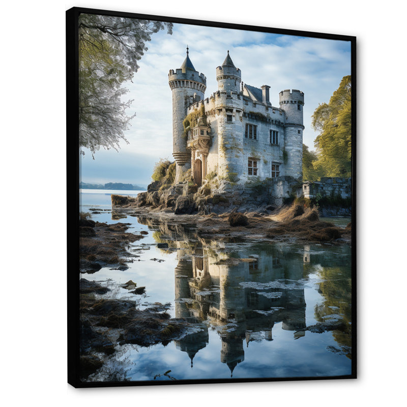 Bromelaid Castles Dreamy Reflections III, reproduction d'art sur toile, H 20 po x l 12 po x P 1 po, Cadre flottant noir