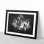 Two Snuggling Tigers - Picture Frame Graphic Art Print-56864604-56864605