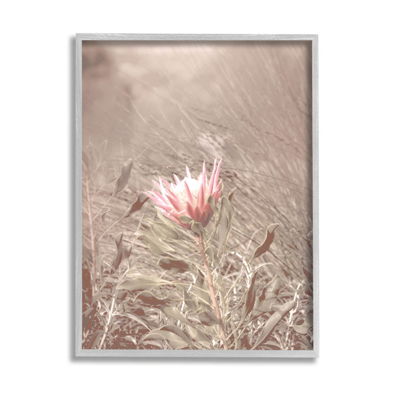 Lone Pink Flower Grassland par Lil 'Rue - photographie sur toile, H 20 po x l 16 po x P 1,5 po, Estampe numérique Farmhouse