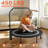 40" Foldable Mini Trampoline,Max Load 450Lbs Indoor Trampoline,With 4 Level Adjustable Foam Handle And Resistance Bands,Adult Exercise Trampoline For Home, Garden, And Gym-114292820