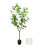 Magnolia Tree Drop-In and Fiberstone Pot