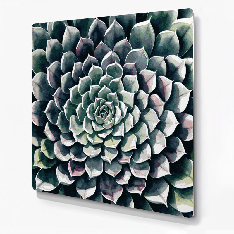 Art mural botanique gris Echeveria, H 12 po x l 12 po