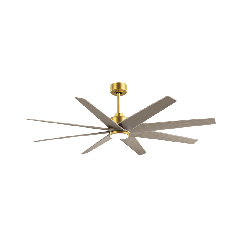 Ariella - Eight Blade Ceiling Fan - Integrated LED - Matte Black Finish - Matte White Blades, Brushed Brass, Gray Ash Tone