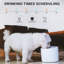 Fontaine pour animaux Instachew Purrflow Smart