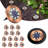 Solar Powered Integrated LED Pathway Light Kit-74051733