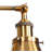Crampton Swing Arm Sconce