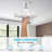 Shonda Ceiling Fan with LED Lights