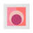 Pink Coral