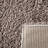 Jiang Area Rug in Taupe-1789612469