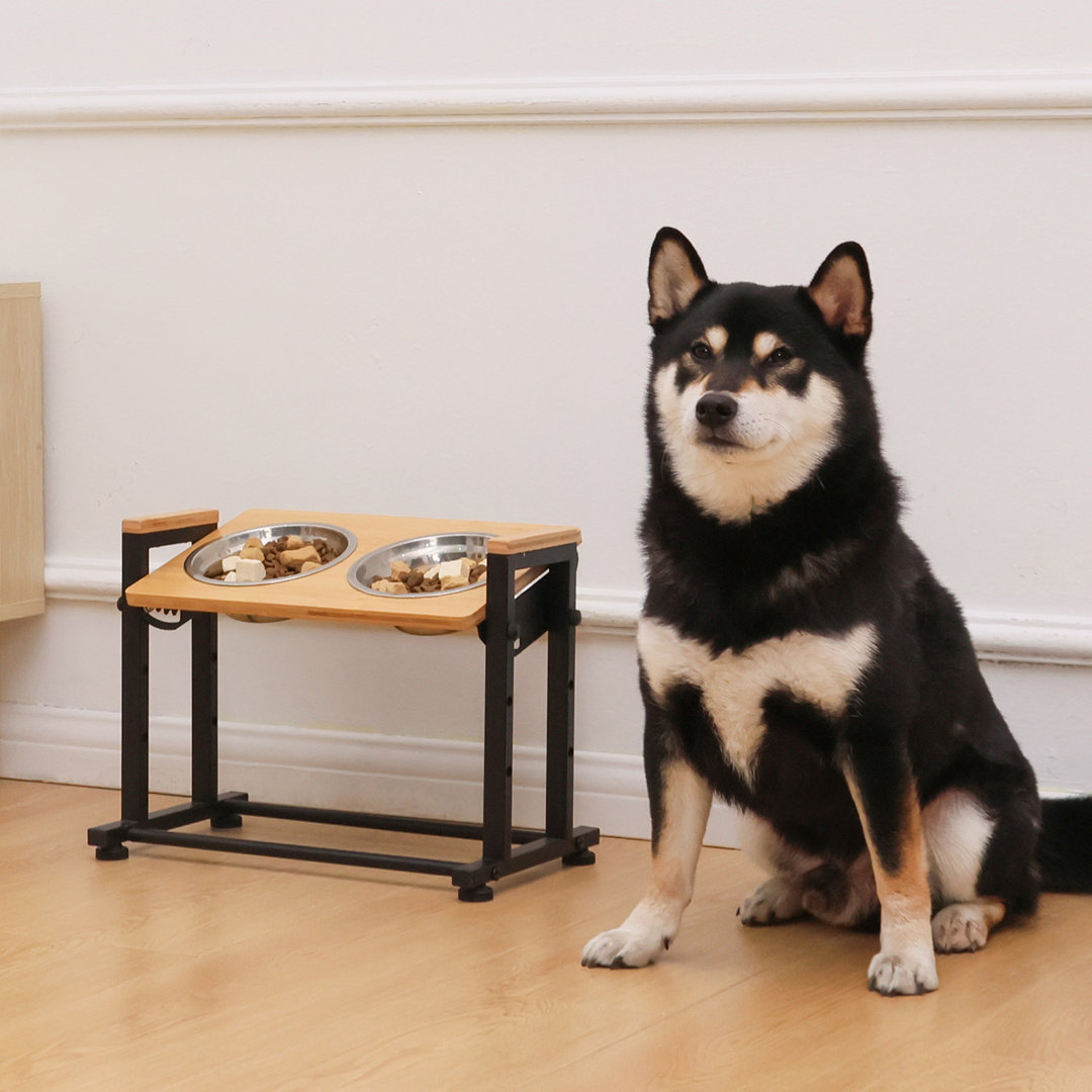 Anti-Skid Elevated Feeder RYPetmia 