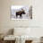Snowy Moose-107473038