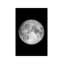 Full Moon - Wrapped Canvas Print-1048770644